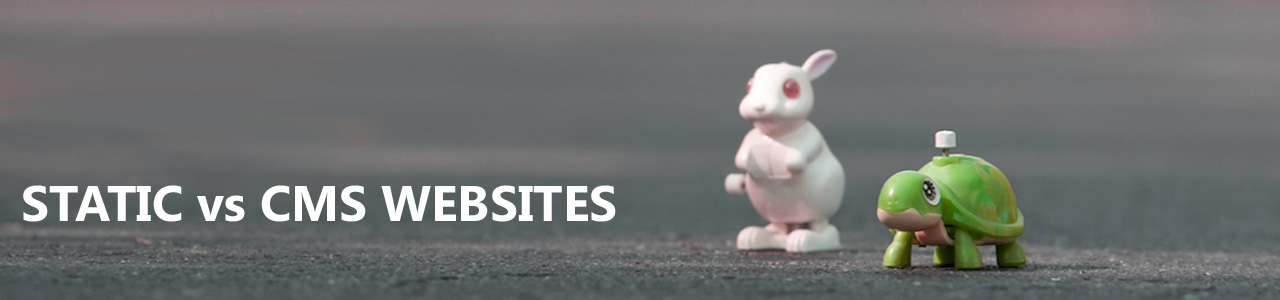 Static websites are best for informational, static content brochure-type websites - the super-fast speed, robustness and custom designed website aspect helps these sites to rank well.