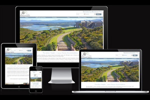 Professional web developers for mobile-friendly websites to rank better
